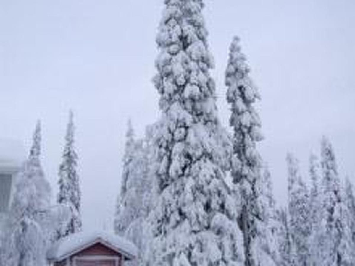 Дома для отпуска Holiday Home Ruka snow & sun 2 Рука-45