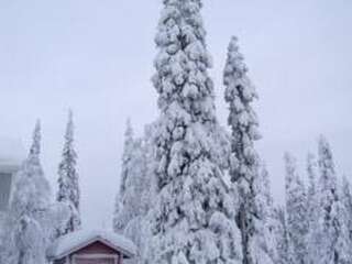 Дома для отпуска Holiday Home Ruka snow & sun 2 Рука Дом для отпуска-28