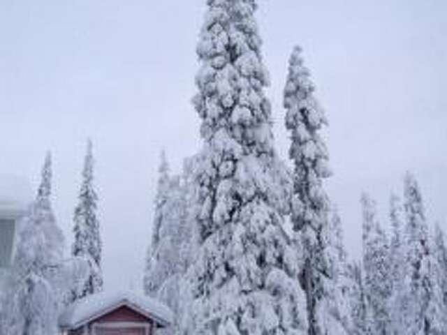 Дома для отпуска Holiday Home Ruka snow & sun 2 Рука-75